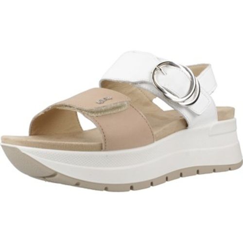 IgI&CO Sandalen 7677600IG - IGI&Co - Modalova