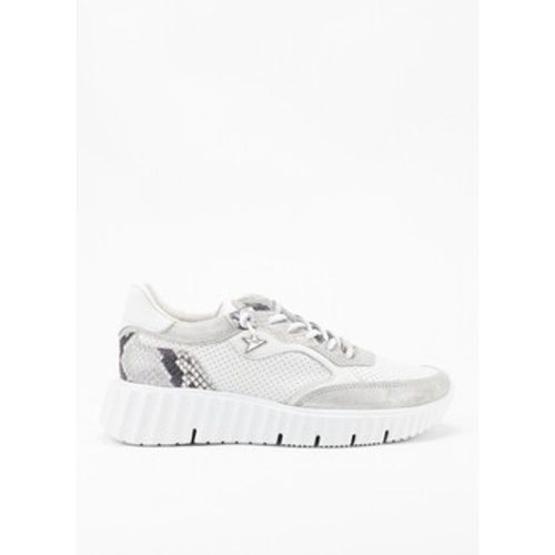 Cetti Sneaker 38860 - Cetti - Modalova