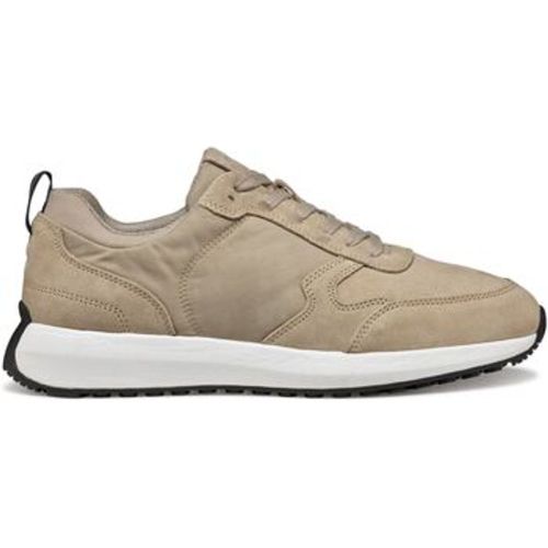 Geox Sneaker Baskets Volpiano A - Geox - Modalova