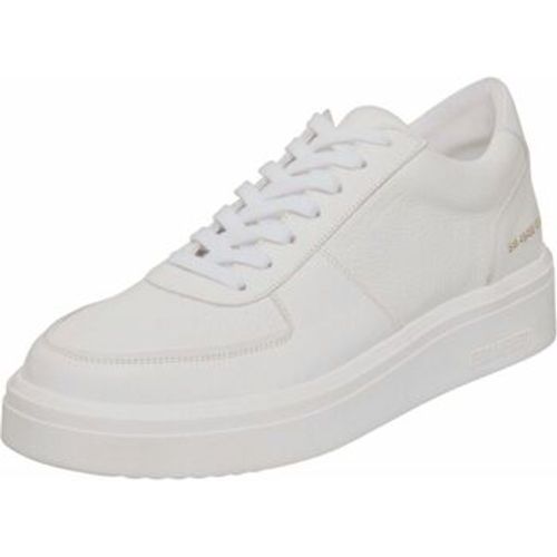 Steve Madden Sneaker Sneaker - Steve Madden - Modalova