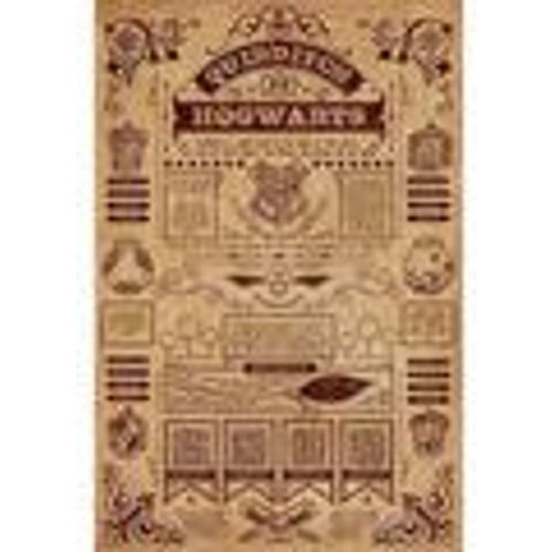 Poster Harry Potter TA6062 - Harry Potter - Modalova