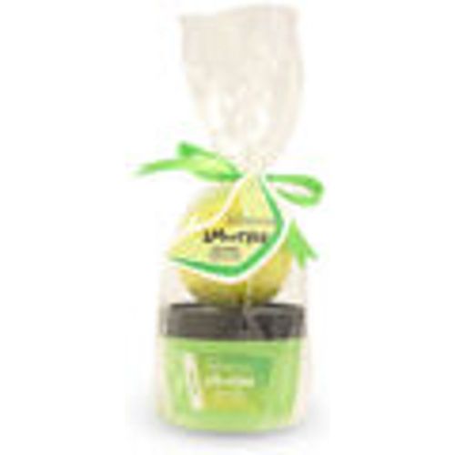 Scrub & peeling Smoothie Mini Bath Melon Cofanetto - Idc Institute - Modalova