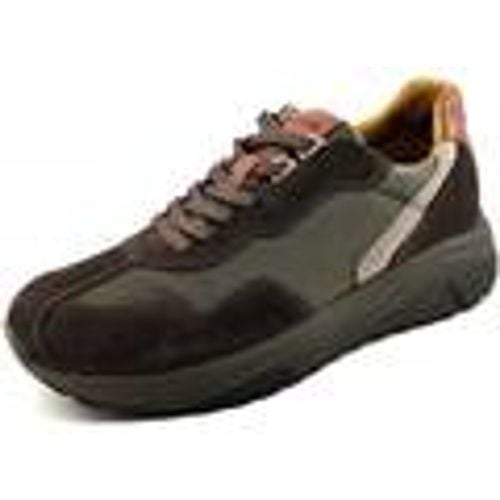 Sneakers Sneakers Uomo 2638122 - IGI&Co - Modalova