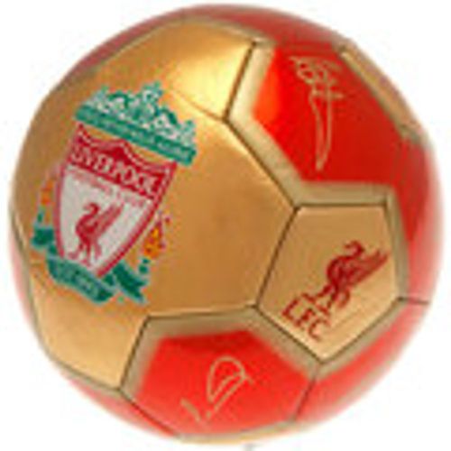 Accessori sport Liverpool Fc YNWA - Liverpool Fc - Modalova