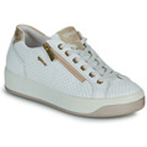 Sneakers basse IgI&CO 5658100 - IGI&Co - Modalova