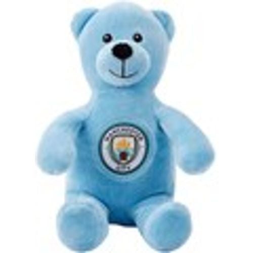 Accessori sport TA11711 - Manchester City Fc - Modalova