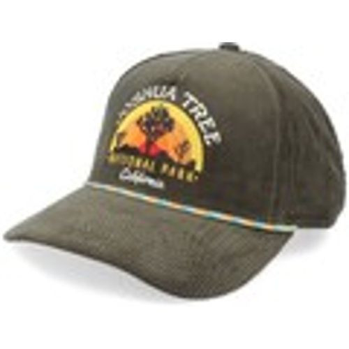 Cappellino Cappello Palmer -Joshua Tree National P Olive - American Needle - Modalova