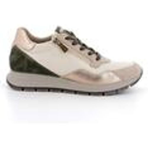 Scarpe da trekking IgI&CO 6672511 - IGI&Co - Modalova