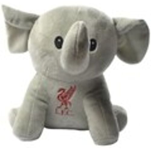 Accessori sport BS4553 - Liverpool Fc - Modalova