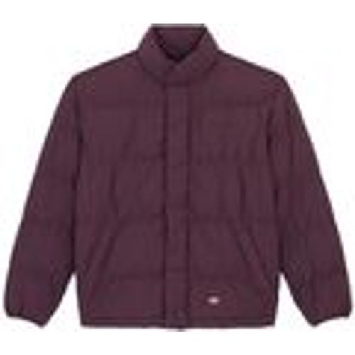 Giubbotto SCOBEY PUFFER JACKET PLUM PERFECT - Dickies - Modalova