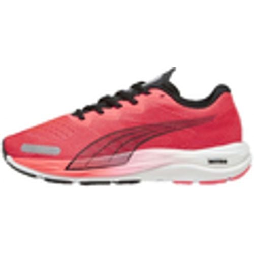 Scarpe Puma Velocity Nitro 2 - Puma - Modalova