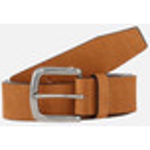 Cintura Oxbow Ceinture TOLAM - Oxbow - Modalova