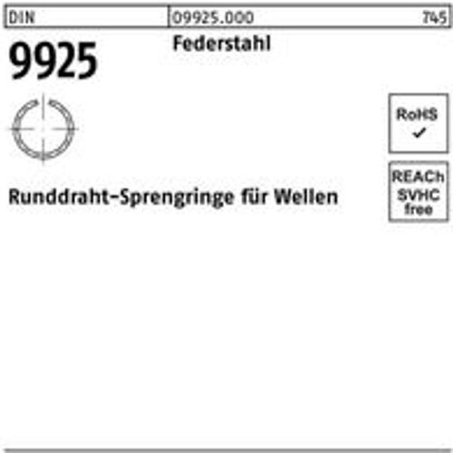 Sprengring DIN 9925 48 Federstahl Runddraht - Fashion24 DE - Modalova