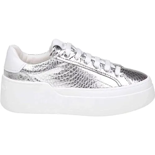 Casual Sneakers for Men and Women , female, Sizes: 4 UK, 3 1/2 UK, 5 1/2 UK, 4 1/2 UK, 2 1/2 UK - Salvatore Ferragamo - Modalova