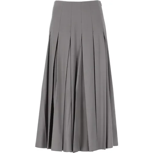 Grey Pleated Skirt with Flared Hem , female, Sizes: XS - Fabiana Filippi - Modalova