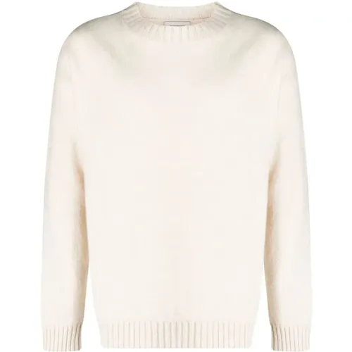 Stylish Sweaters , male, Sizes: M, L - Laneus - Modalova