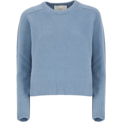 Hellblauer Cashmere-Rundhalsausschnitt-Pullover , Damen, Größe: S - Vanisé - Modalova