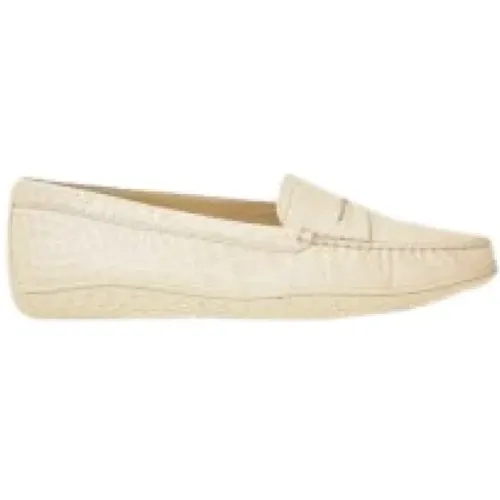 Suede Loafers , female, Sizes: 7 UK - TOD'S - Modalova