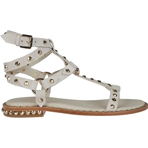 Beige Ariel Gold Sandals , female, Sizes: 6 UK, 4 UK, 5 UK, 7 UK, 8 UK - Ash - Modalova
