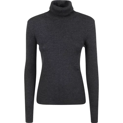 Grey Ribbed Wool Sweatshirt with Roll Neck , female, Sizes: S, L, M, XS - P.a.r.o.s.h. - Modalova