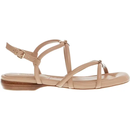 Sandalen Nude Bassolistini Stil , Damen, Größe: 36 EU - Ash - Modalova