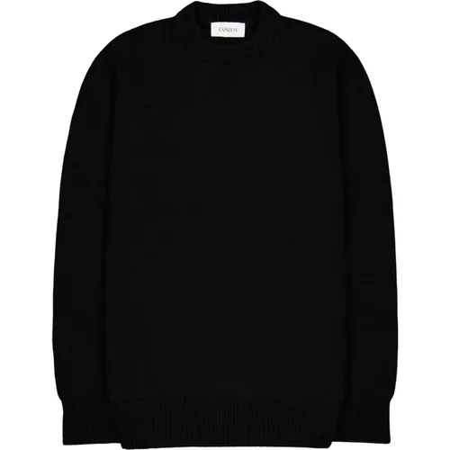 Merino Wool and Cashmere Crewneck Sweater , male, Sizes: L, 2XL, XL, M, S - Laneus - Modalova