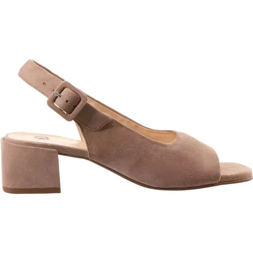 Flat Sandals for Women , female, Sizes: 8 1/2 UK, 3 UK, 6 UK, 4 UK - Högl - Modalova
