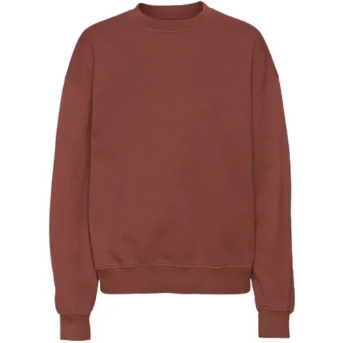 Sweatshirt Colorful Standard - Colorful Standard - Modalova