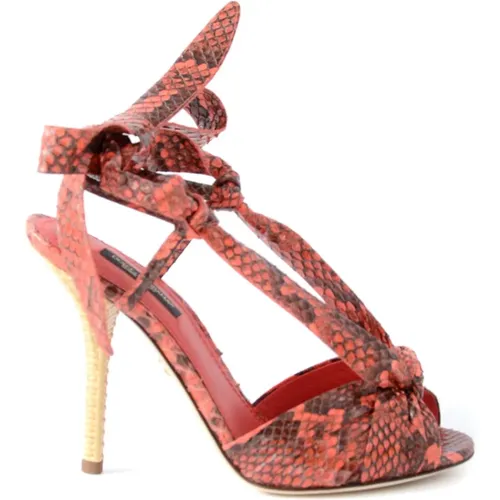 Womens Snake Heeled Sandals , female, Sizes: 4 UK, 7 UK, 8 UK, 5 UK, 3 UK - Dolce & Gabbana - Modalova