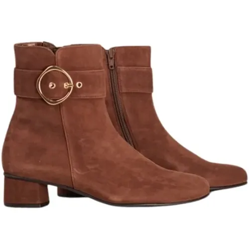 Elegant Suede Ankle Boot Chestnut , female, Sizes: 7 UK, 5 1/2 UK, 8 1/2 UK, 6 UK, 4 UK - HASSIA - Modalova