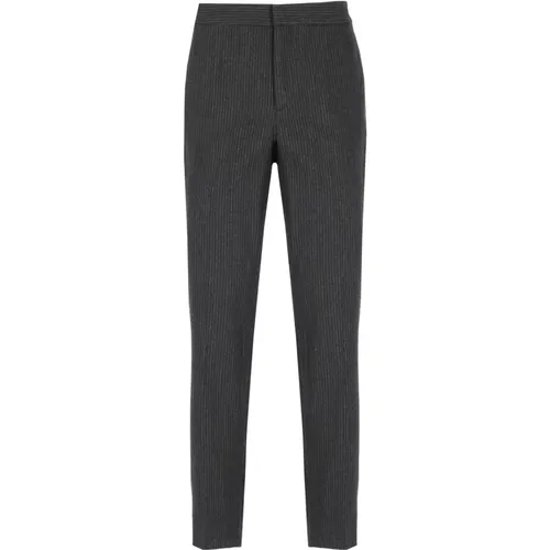 Grey Wool Pinstriped Trousers , female, Sizes: S, XS, M - Fabiana Filippi - Modalova