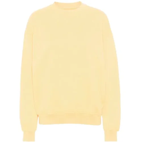 Sweatshirt , Herren, Größe: XL - Colorful Standard - Modalova