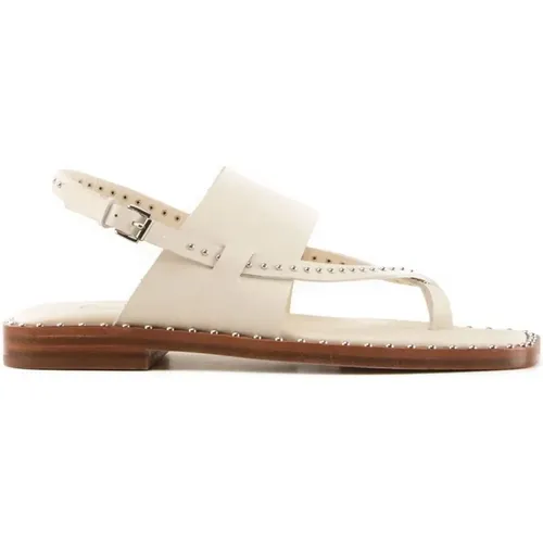 Soft Brasil sandals , female, Sizes: 4 UK - Ash - Modalova