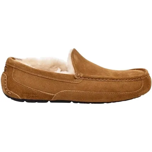 Ascot Hausschuhe , Herren, Größe: 41 EU - Ugg - Modalova