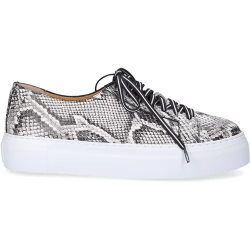 Grey Low Top Sneaker in Calf Leather , female, Sizes: 7 UK, 3 UK, 4 1/2 UK, 6 UK - Truman's - Modalova
