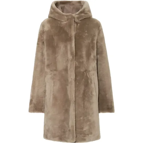Taupe Faux Fur Shearling Jacket , female, Sizes: 2XL - Arma - Modalova