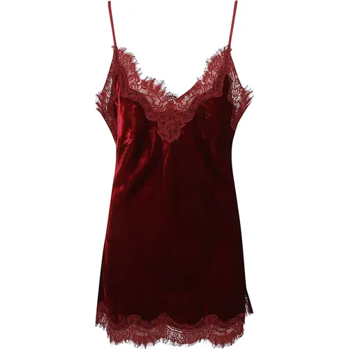 Velvet Lace Trim Topwear , female, Sizes: S, XS - Gold Hawk - Modalova