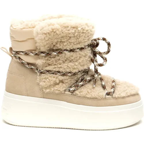 Sportliche High-Top Sneakers ASH - Ash - Modalova