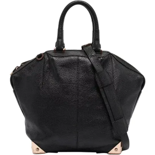 Pre-owned Leather handbags , female, Sizes: ONE SIZE - Alexander Wang Pre-owned - Modalova