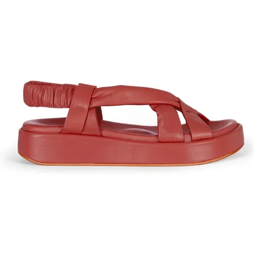 Flat clay sandal with padded straps , female, Sizes: 5 UK, 7 UK, 4 UK, 6 UK, 8 UK - Cortana - Modalova