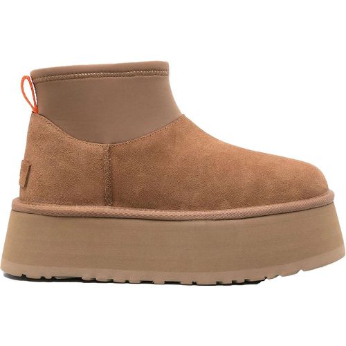 Stiefel & Boots - Dames Classic Mini Dipper Chestnut - Gr. 40 (EU) - in - für Damen - Ugg - Modalova