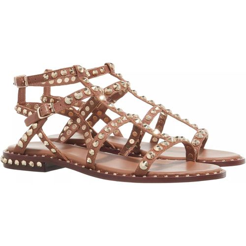 Sandalen - Precious02 - Gr. 36 (EU) - in - für Damen - Ash - Modalova