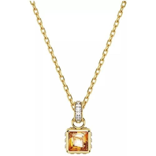 Halskette - Stilla Goldfarbene Anhänger 5648749 - Gr. unisize - in - für Damen - Swarovski - Modalova