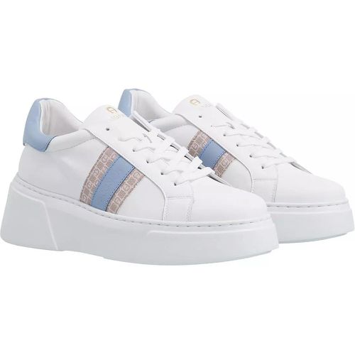 Sneaker - Elaine 8 - Gr. 36 (EU) - in - für Damen - aigner - Modalova