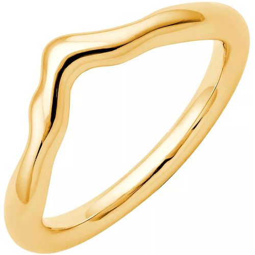 Ring - Nimbus Metal Chevron Ring - Gr. 52 - in - für Damen - Pukka Berlin - Modalova