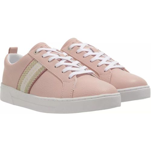 Sneaker - Baily Webbing Cupsole Trainer - Gr. 36 (EU) - in Gold - für Damen - Ted Baker - Modalova