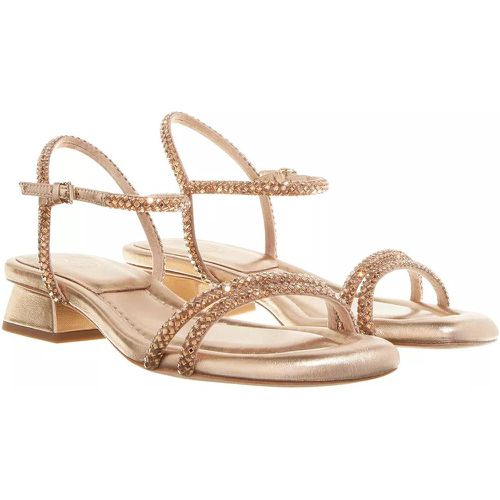 Sandalen & Sandaletten - Icaro01 - für Damen - Ash - Modalova