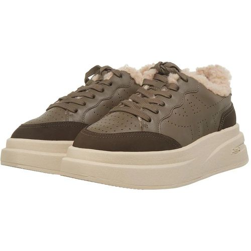 Sneakers - Impuls Fur - Gr. 36 (EU) - in - für Damen - Ash - Modalova