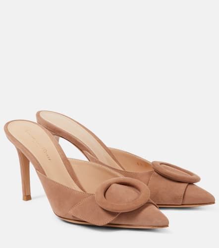 Mules aus Veloursleder - Gianvito Rossi - Modalova