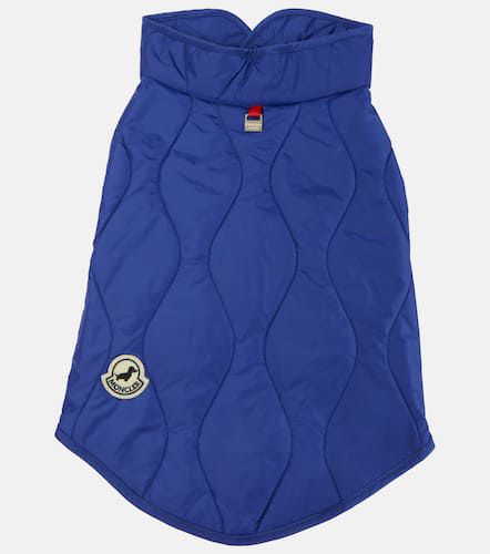 Poldo Dog Couture dog coat - Moncler - Modalova